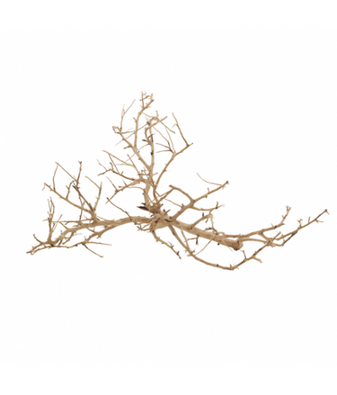Natural Color Aquarium Decorative Natural Driftwood- 10-30cm (kg)